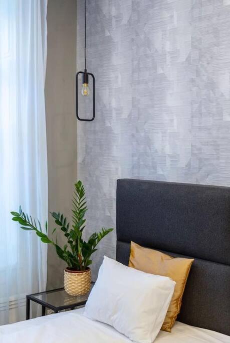 Luxurious Studio Located In The Heart Of บูดาเปสต์ ภายนอก รูปภาพ